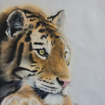 Pittura intitolato "Dreaming tiger" da Olga Belova, Opera d'arte originale, Acrilico