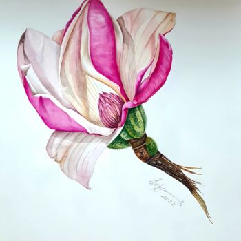 Painting titled "Magnolia flower" by Olga Poruchikova, Original Artwork, Watercolor