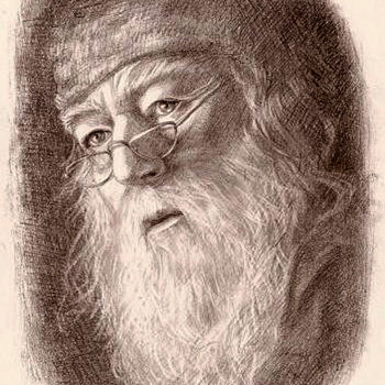 「Dumbledore」というタイトルの描画 Olga Shevchenkoによって, オリジナルのアートワーク, グラファイト