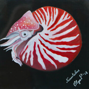 Drawing titled "Nautilus: the animal" by Olga Petrova, Original Artwork, Pastel