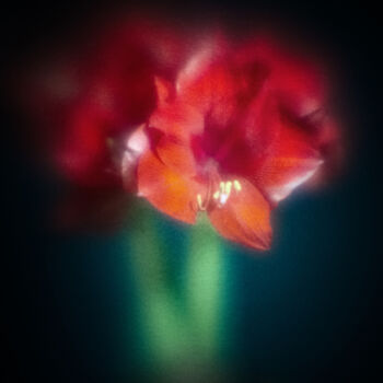 Photography titled "Amaryllis" by Olivier Pasquiers, Original Artwork, Non Manipulated Photography