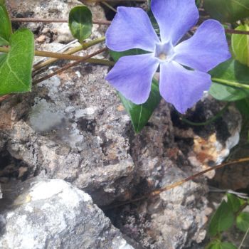 Fotografie mit dem Titel "BEAUTENATUREBLEUE -…" von Omsurya Sandra Inti Ruphay, Original-Kunstwerk