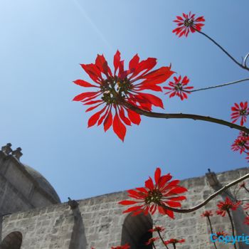 Fotografia intitolato "SANTA CATALINA REAL…" da Omsurya Sandra Inti Ruphay, Opera d'arte originale