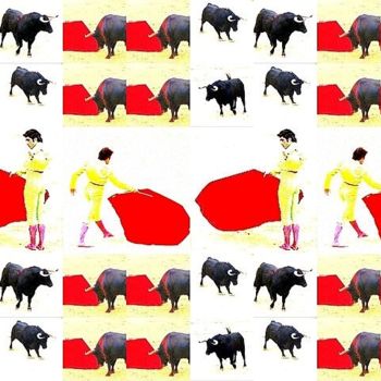 Photographie intitulée "effets de cape rouge" par Onaria, Œuvre d'art originale