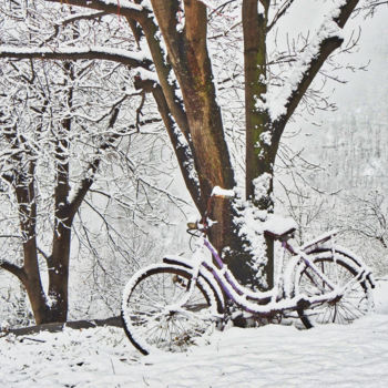 Φωτογραφία με τίτλο "Bel hiver / 18" από Alain Brasseur, Αυθεντικά έργα τέχνης