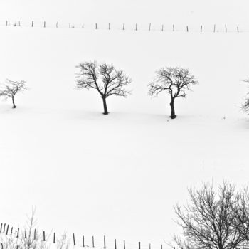 Photographie intitulée "Hiver 2011" par Alain Brasseur, Œuvre d'art originale