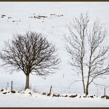 Photography titled "Le bel hiver.....195" by Alain Brasseur, Original Artwork