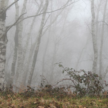 "journée brouillard.…" başlıklı Fotoğraf Alain Brasseur tarafından, Orijinal sanat