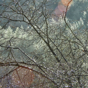 Photographie intitulée "Le grand mariage du…" par Alain Brasseur, Œuvre d'art originale