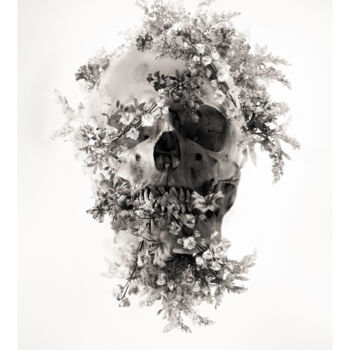 Fotografía titulada "Calavera" por Oriol Jolonch, Obra de arte original, Fotografía digital