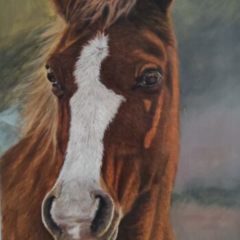 Peinture intitulée "Le cheval" par Pascal Bourgouin, Œuvre d'art originale, Huile