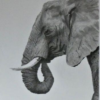 Dibujo titulada "L'Eléphant" por Pascale Scheip, Obra de arte original, Grafito