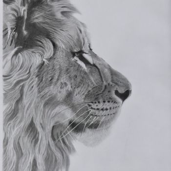 Rysunek zatytułowany „Le Lion,” autorstwa Pascale Scheip, Oryginalna praca, Grafit