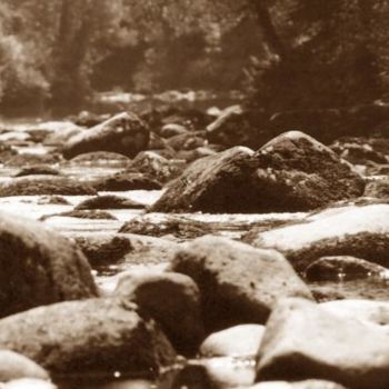 Fotografie getiteld "river in Dartmoor" door Pato Van Hecke, Origineel Kunstwerk