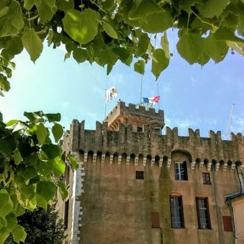 Fotografía titulada "** Le Château de Ca…" por Patrice Le Gall, Obra de arte original