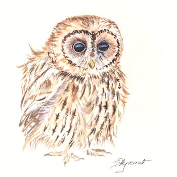 Peinture intitulée "petite chouette hul…" par Patricia Hyvernat, Œuvre d'art originale, Aquarelle