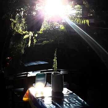 Фотография под названием "Morning Sunlight" - Patrick John Bennett (Patrice), Подлинное произведение искусства, Цифровая фот…