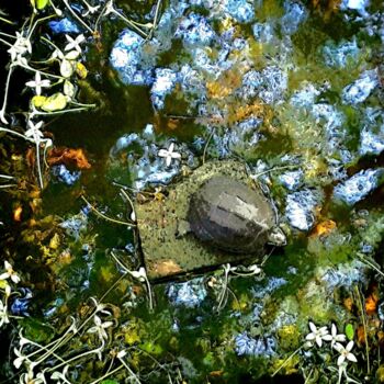 Photographie intitulée "The Turtle" par Patrick John Bennett (Patrice), Œuvre d'art originale, Photographie numérique