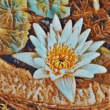 摄影 标题为“Lotus Flower” 由Patrick John Bennett (Patrice), 原创艺术品, 数码摄影