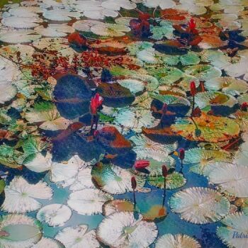 Fotografía titulada "Water Lilies 2023" por Patrick John Bennett (Patrice), Obra de arte original, Fotografía digital