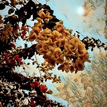 Fotografie mit dem Titel "Blossom before the…" von Patrick John Bennett (Patrice), Original-Kunstwerk, Digitale Fotografie