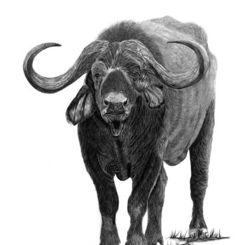 Zeichnungen mit dem Titel "Buffalo" von Paul Stowe, Original-Kunstwerk, Graphit