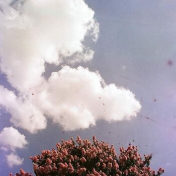 Fotografía titulada "spring" por Paula Marchesini, Obra de arte original, Fotografía analógica