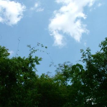 Fotografie getiteld "Cielo y Terra" door Paula Reschini, Origineel Kunstwerk