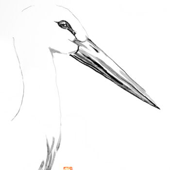 Dibujo titulada "cigogne de profil" por Péchane, Obra de arte original, Acuarela