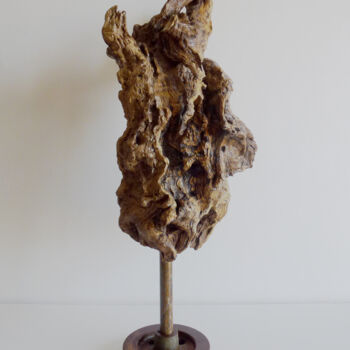 Sculpture intitulée "Entrañas" par Pere Marti, Œuvre d'art originale, Bois