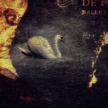 Photography titled "SWAN" by Philippe Yvon, Original Artwork, Digital Photography