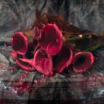 Photographie intitulée "fleur" par Philippe Bousseau, Œuvre d'art originale, Photographie numérique