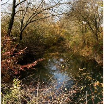 Fotografie getiteld "Un brin d'automne -…" door Josiane Karanian Boularot, Origineel Kunstwerk