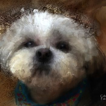 Arts numériques intitulée "Colin le shih tzu" par Pia De Panicis, Œuvre d'art originale, Peinture numérique