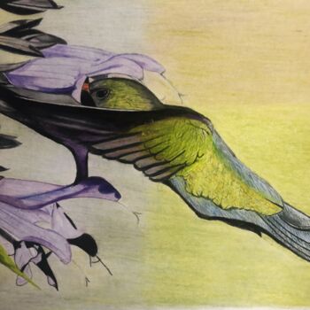 Drawing titled "Petit oiseau" by Pierre Bayet, Original Artwork, Pencil