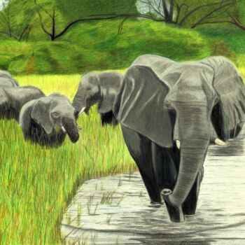 Drawing titled "Eléphants en balade" by Pierre Bayet, Original Artwork, Pencil