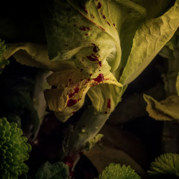 Fotografía titulada "Le sang des fleurs…" por Pierre Duquoc, Obra de arte original, Fotografía digital