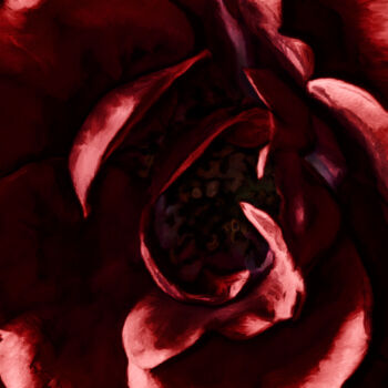 Fotografía titulada "Coeur de rose" por Pierre-Marie Fenech, Obra de arte original, Fotografía manipulada