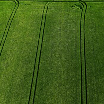 Photographie intitulée "Polder 3 - Agricult…" par Pierre Piton, Œuvre d'art originale, Photographie numérique