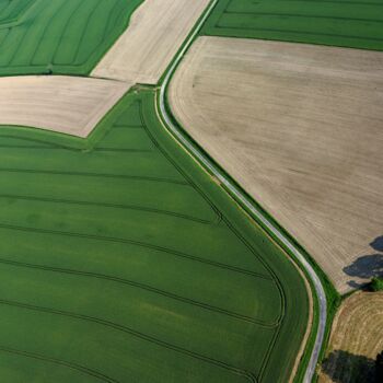 Fotografia intitulada "Polder 7 - Agricult…" por Pierre Piton, Obras de arte originais, Fotografia digital