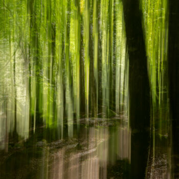 Фотография под названием "Ethereal Forest #2" - Pietro Cenini, Подлинное произведение искусства, Цифровая фотография