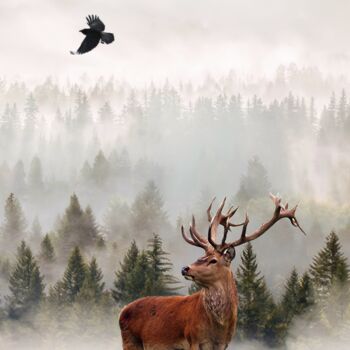 Arts numériques intitulée "Deer in the taiga.…" par Radiy Bohem, Œuvre d'art originale, Photographie numérique