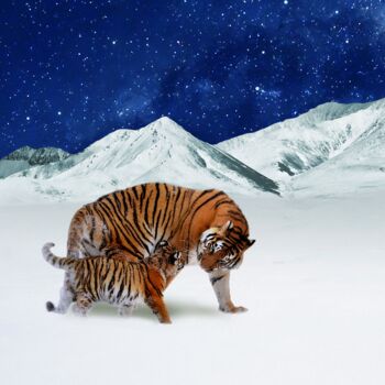 Arts numériques intitulée "Tigers in the mount…" par Radiy Bohem, Œuvre d'art originale, Travail numérique 2D
