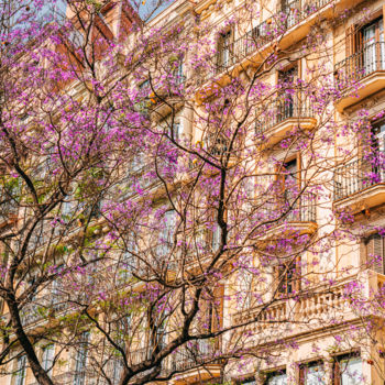 Fotografie getiteld "Purple Flowers Tree…" door Radu Bercan, Origineel Kunstwerk, Digitale fotografie