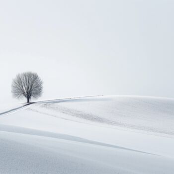 Grafika cyfrowa / sztuka generowana cyfrowo zatytułowany „Winter landcsape” autorstwa Ramona Gliga, Oryginalna praca, Kolaż…