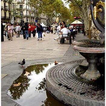 Photography titled "Ramblas 18" by Ramon Oliveras, Original Artwork