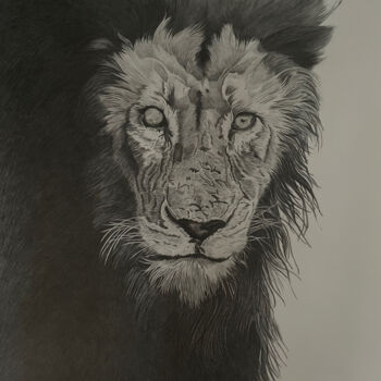 Drawing titled "Lion" by Rémi Capobianco, Original Artwork, Pencil