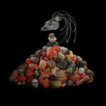「Vanité au cheval de…」というタイトルのデジタルアーツ Rémy Le Guillermによって, オリジナルのアートワーク, 2Dデジタルワーク アルミニウムにマウント