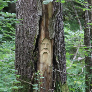 Sculpture titled "into the wild" by Renaud Igor Vivot, Original Artwork, Wood