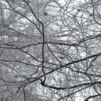 Photographie intitulée "Lumière blanche" par Renaud Klumpp, Œuvre d'art originale